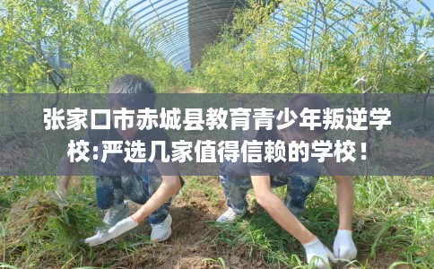 张家口市赤城县教育青少年叛逆学校:严选几家值得信赖的学校! 张家口市赤城县教育青少年叛逆学校:严选几家值得信赖的学校!