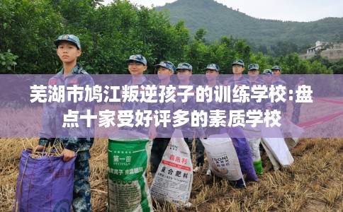 芜湖市鸠江叛逆孩子的训练学校:盘点十家受好评多的素质学校 芜湖市鸠江叛逆孩子的训练学校:盘点十家受好评多的素质学校