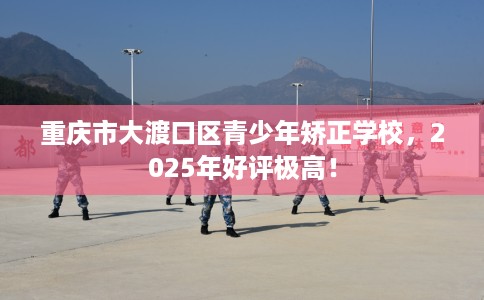 重庆市大渡口区青少年矫正学校，2025年好评极高！