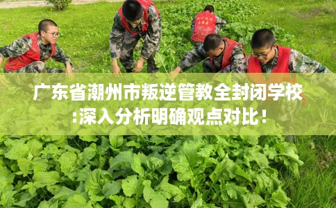 广东省潮州市叛逆管教全封闭学校:深入分析明确观点对比！