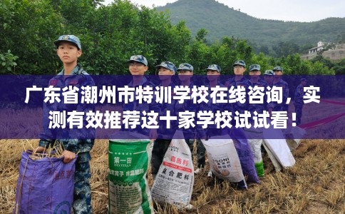 广东省潮州市特训学校在线咨询,实测有效推荐这十家学校试试看! 广东省潮州市特训学校在线咨询,实测有效推荐这十家学校试试看!