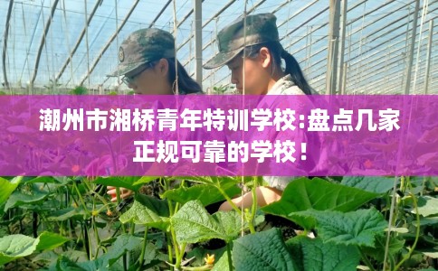 潮州市湘桥青年特训学校:盘点几家正规可靠的学校！