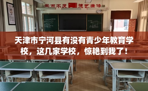 天津市宁河县有没有青少年教育学校，这几家学校，惊艳到我了！