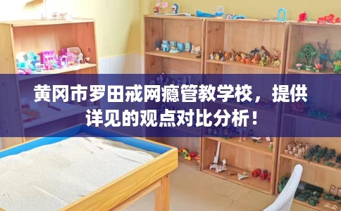 黄冈市罗田戒网瘾管教学校，提供详见的观点对比分析！