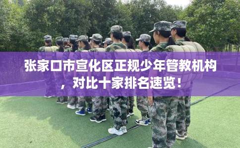 张家口市宣化区正规少年管教机构，对比十家排名速览！