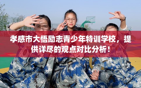 孝感市大悟励志青少年特训学校，提供详尽的观点对比分析！