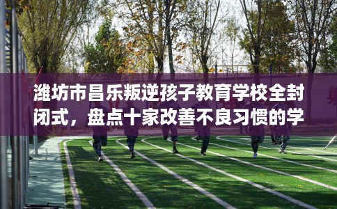 潍坊市昌乐叛逆孩子教育学校全封闭式,盘点十家改善不良习惯的学校! 潍坊市昌乐叛逆孩子教育学校全封闭式,盘点十家改善不良习惯的学校!