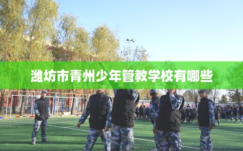 潍坊市青州少年管教学校有哪些 潍坊市青州少年管教学校有哪些