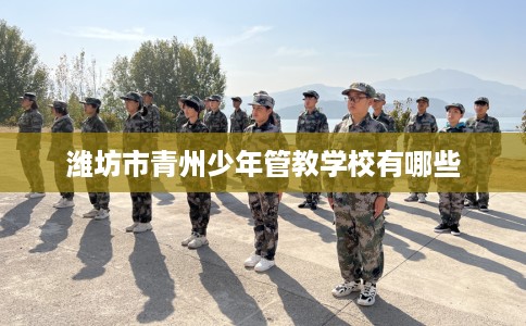 潍坊市青州少年管教学校有哪些 潍坊市青州少年管教学校有哪些