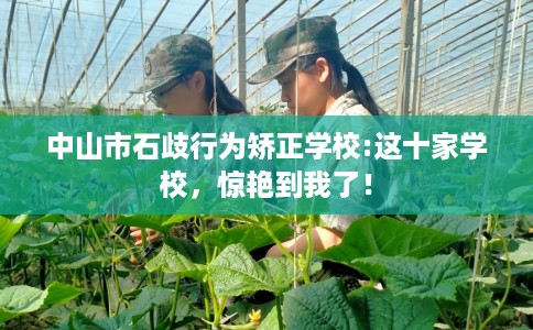 中山市石歧行为矫正学校:这十家学校，惊艳到我了！