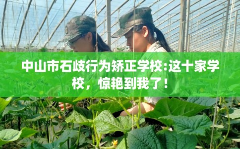 中山市石歧行为矫正学校:这十家学校，惊艳到我了！