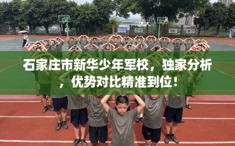 石家庄市新华少年军校，独家分析，优势对比精准到位！