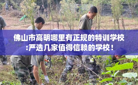 佛山市高明哪里有正规的特训学校:严选几家值得信赖的学校！