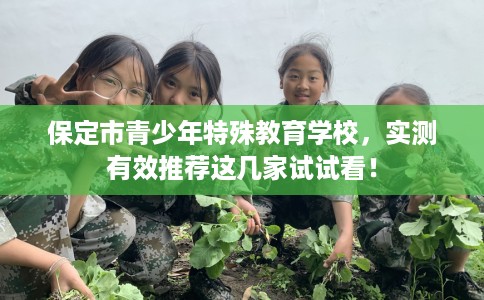 保定市青少年特殊教育学校，实测有效推荐这几家试试看！