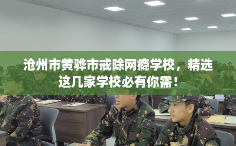 沧州市黄骅市戒除网瘾学校，精选这几家学校必有你需！