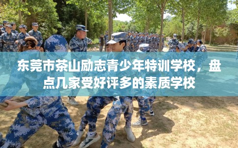 东莞市茶山励志青少年特训学校，盘点几家受好评多的素质学校