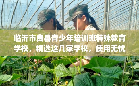 临沂市费县青少年培训班特殊教育学校,精选这几家学校,使用无忧! 临沂市费县青少年培训班特殊教育学校,精选这几家学校,使用无忧!