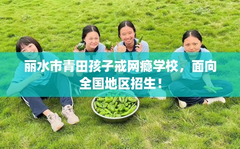 丽水市青田孩子戒网瘾学校,面向全国地区招生! 丽水市青田孩子戒网瘾学校,面向全国地区招生!