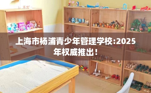 上海市杨浦青少年管理学校:2025年权威推出！