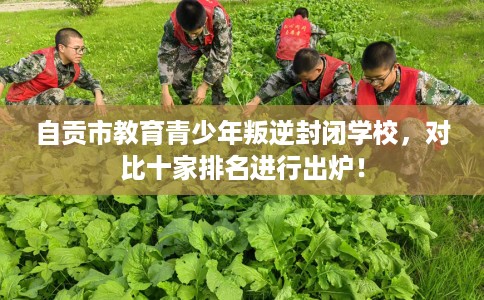 自贡市教育青少年叛逆封闭学校,对比十家排名进行出炉! 自贡市教育青少年叛逆封闭学校,对比十家排名进行出炉!