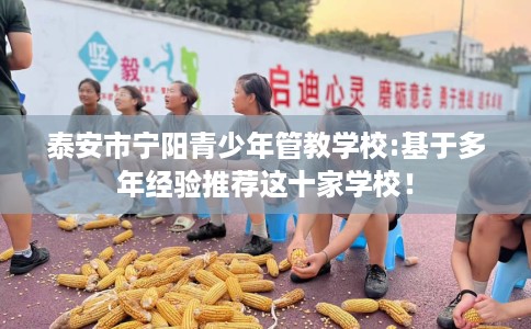 泰安市宁阳青少年管教学校:基于多年经验推荐这十家学校! 泰安市宁阳青少年管教学校:基于多年经验推荐这十家学校!