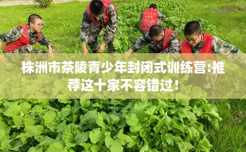 株洲市茶陵青少年封闭式训练营:推荐这十家不容错过! 株洲市茶陵青少年封闭式训练营:推荐这十家不容错过!