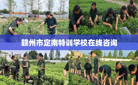 赣州市定南特训学校在线咨询