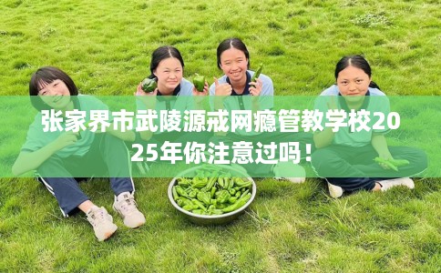 张家界市武陵源戒网瘾管教学校2025年你注意过吗! 张家界市武陵源戒网瘾管教学校2025年你注意过吗!