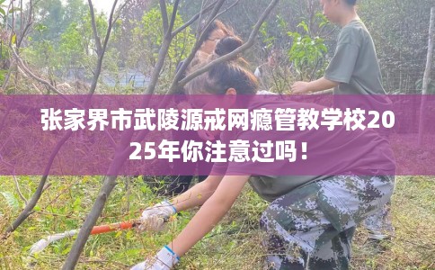 张家界市武陵源戒网瘾管教学校2025年你注意过吗！