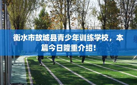 衡水市故城县青少年训练学校,本篇今日隆重介绍! 衡水市故城县青少年训练学校,本篇今日隆重介绍!