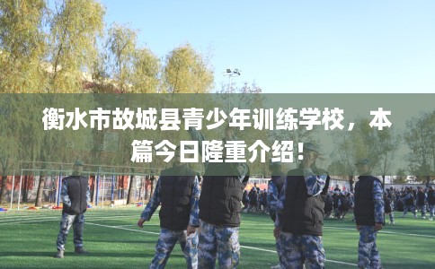 衡水市故城县青少年训练学校，本篇今日隆重介绍！