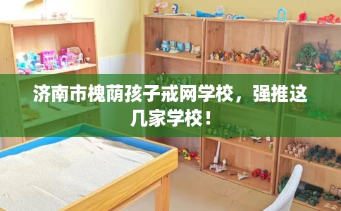 济南市槐荫孩子戒网学校，强推这几家学校！