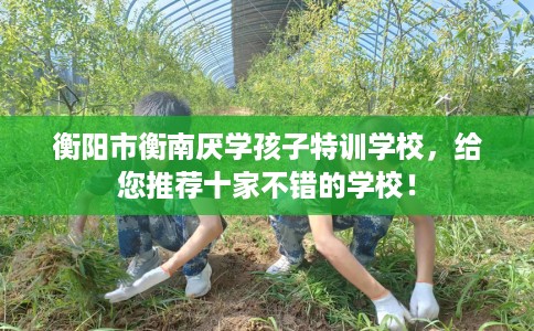 衡阳市衡南厌学孩子特训学校，给您推荐十家不错的学校！