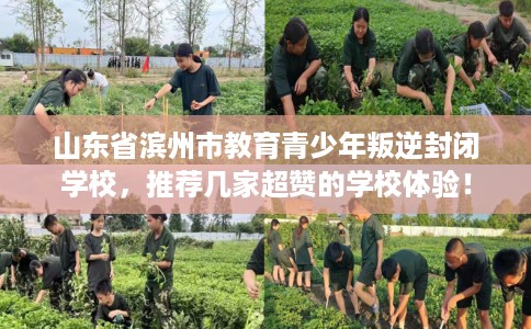 山东省滨州市教育青少年叛逆封闭学校，推荐几家超赞的学校体验！