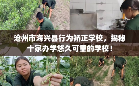 沧州市海兴县行为矫正学校，揭秘十家办学悠久可靠的学校！