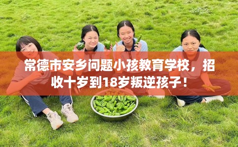 常德市安乡问题小孩教育学校,招收十岁到18岁叛逆孩子! 常德市安乡问题小孩教育学校,招收十岁到18岁叛逆孩子!