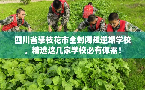 四川省攀枝花市全封闭叛逆期学校，精选这几家学校必有你需！
