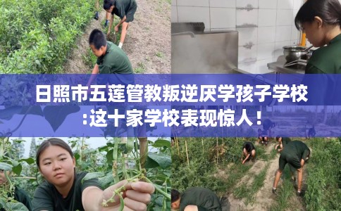 日照市五莲管教叛逆厌学孩子学校:这十家学校表现惊人！