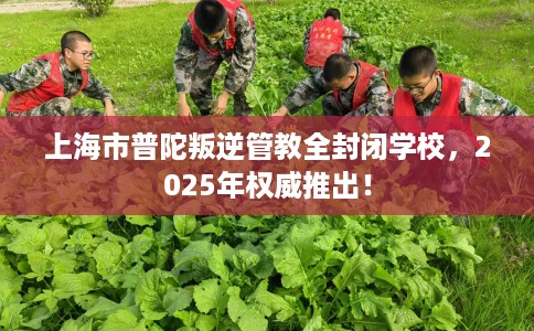 上海市普陀叛逆管教全封闭学校,2025年权威推出! 上海市普陀叛逆管教全封闭学校,2025年权威推出!