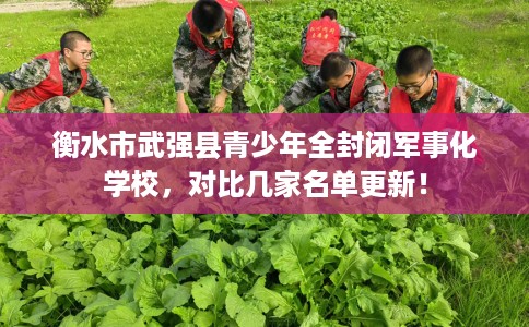 衡水市武强县青少年全封闭军事化学校,对比几家名单更新! 衡水市武强县青少年全封闭军事化学校,对比几家名单更新!