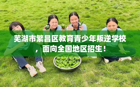 芜湖市繁昌区教育青少年叛逆学校，面向全国地区招生！