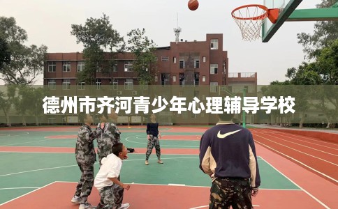 德州市齐河青少年心理辅导学校