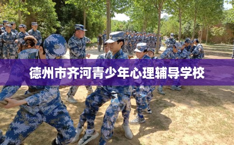 德州市齐河青少年心理辅导学校