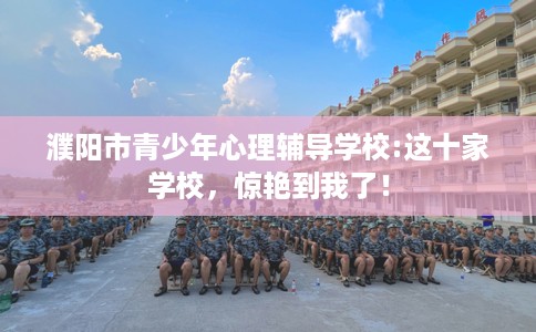 濮阳市青少年心理辅导学校:这十家学校，惊艳到我了！