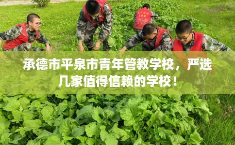 承德市平泉市青年管教学校，严选几家值得信赖的学校！