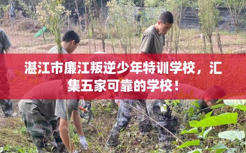 湛江市廉江叛逆少年特训学校，汇集五家可靠的学校！