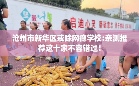 沧州市新华区戒除网瘾学校:亲测推荐这十家不容错过！
