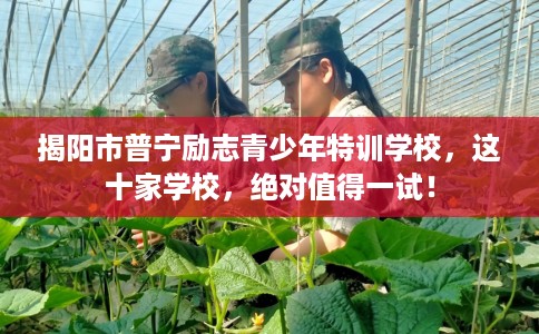 揭阳市普宁励志青少年特训学校，这十家学校，绝对值得一试！