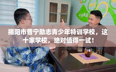 揭阳市普宁励志青少年特训学校，这十家学校，绝对值得一试！