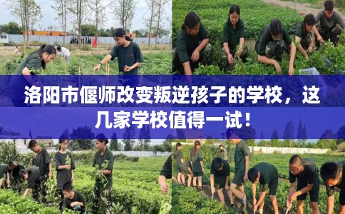 洛阳市偃师改变叛逆孩子的学校,这几家学校值得一试! 洛阳市偃师改变叛逆孩子的学校,这几家学校值得一试!